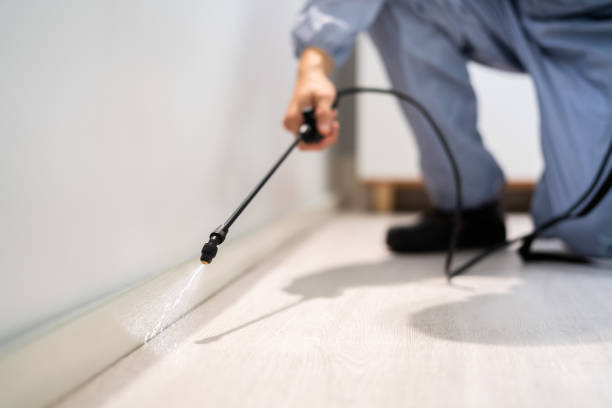 Rodent Entry Point Assessment in Mahtomedi