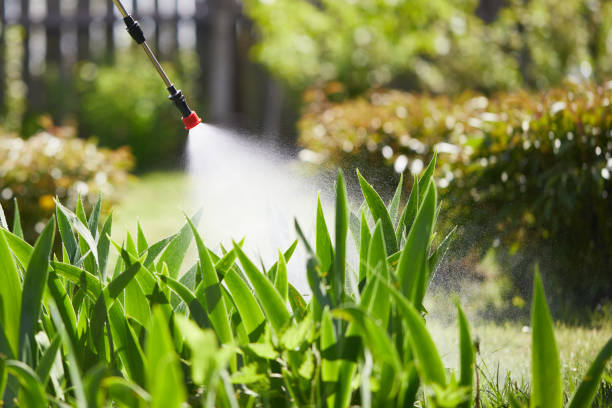 Tamper-Resistant Bait Stations for Rodents in Mahtomedi