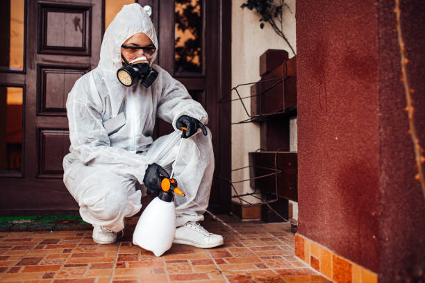 Attic and Crawl Space Rodent Treatment in Mahtomedi