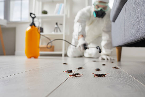 Commercial Rodent Management in Mahtomedi